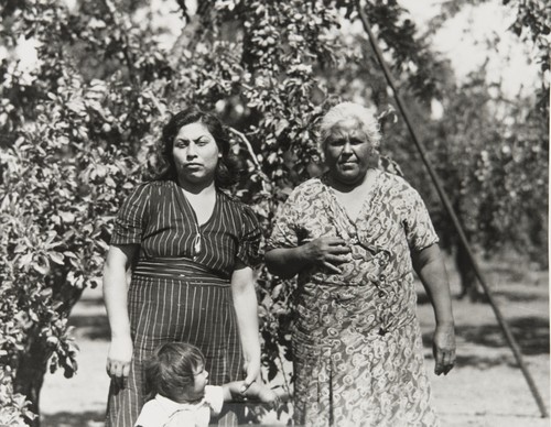 Mother and grandmother in a walnut grove