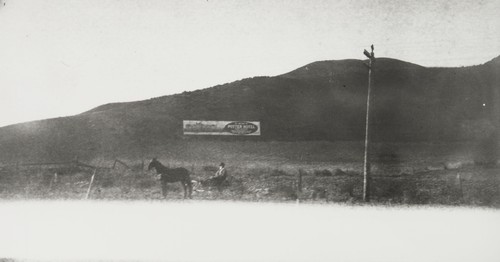 Fernando Librado in buggy in front of a billboard for the Potter Hotel in Santa Barbara : 1913