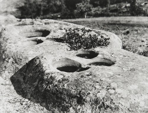 Bedrock mortars where Chumash women ground acorns, San Marcos Pass