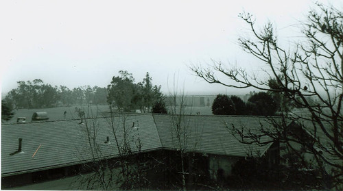 View of Chester Washington Golf Course and roofline