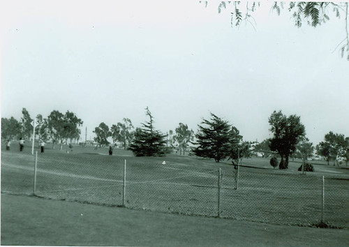 View of Chester Washington Golf Course