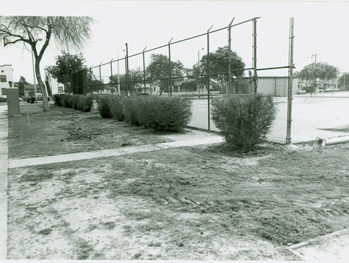 View of tennis court area at Roosevelt Park