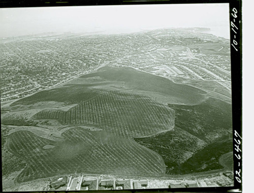 Aerial view of Deane Dana Friendship Park and Nature Center