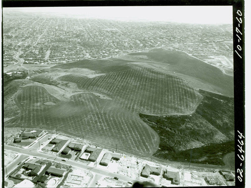 Aerial view of Deane Dana Friendship Park and Nature Center