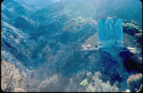 View of fire damage at Placerita Canyon Natural Area