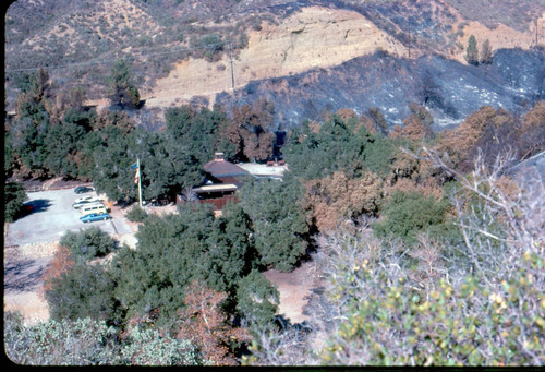 View of fire damage at Placerita Canyon Natural Area