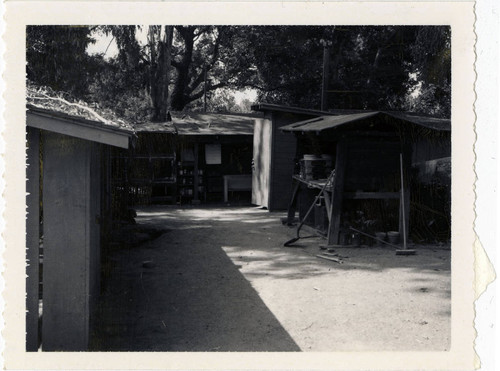 View of San Dimas Park Nature Center