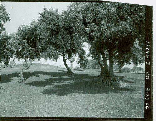 View of Marshall Canyon Golf Course