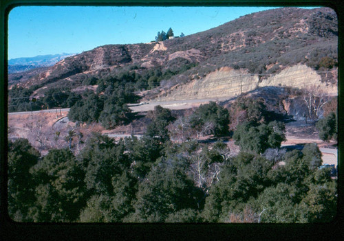 View of fire damage at Placerita Canyon Natural Area