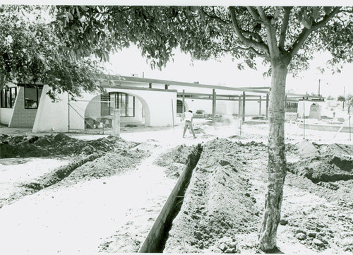 View of landscape installation at the new community center at Belvedere Park