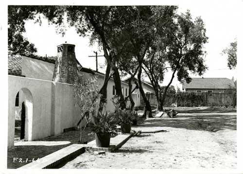 View of trees along a building at Plummer Park