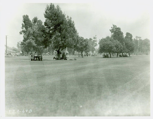 View of picnic tables at Arcadia Community Regional Park