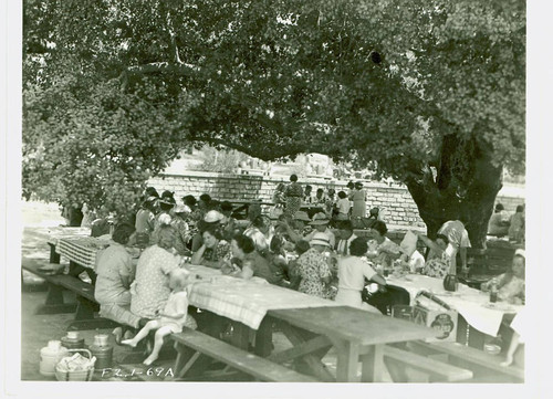 View of the Oak Tree picnic area at Arcadia Community Regional Park