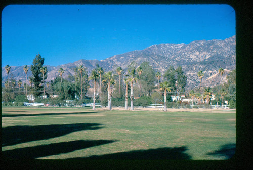 View of Altadena Golf Course