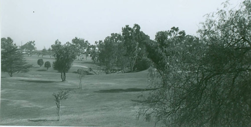 View of Chester Washington Golf Course