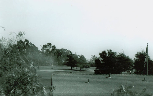 View of Chester Washington Golf Course