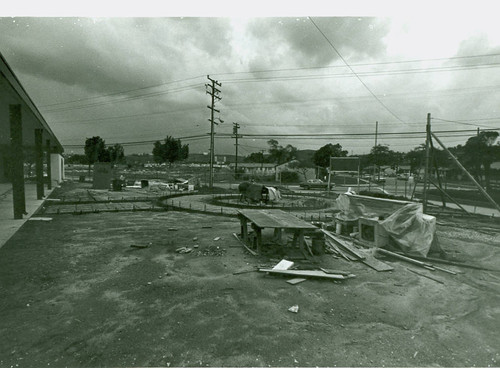 View of community center landscape installation at Belvedere Park