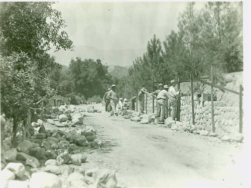 View of WPA work crew at Dexter Park