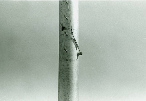 View of a field light pole at Belvedere Park