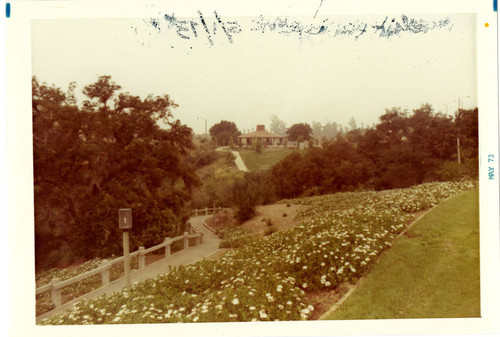 View of a walkway at Frank G. Bonelli Regional Park