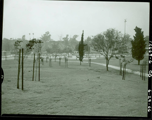 View of trees and playground at Obregon Park