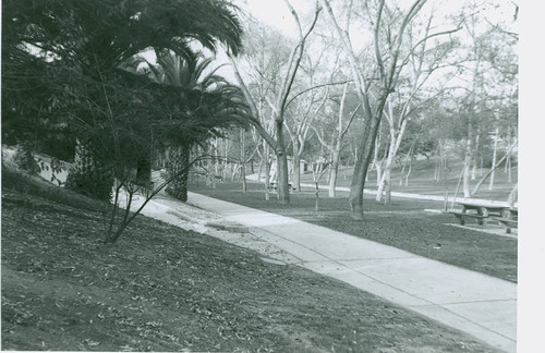 View of Ladera Park