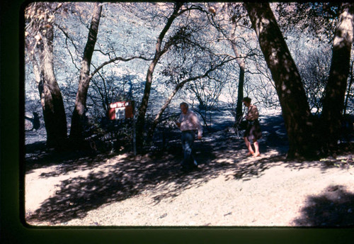 View of hikers at Placerita Canyon Natural Area