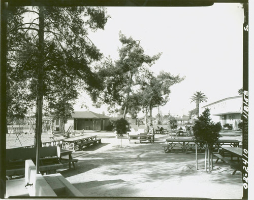 View of the picnic area, swings and gymnasium at Salazar Park