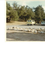 View of the parking lot and nature center at Placerita Canyon Natural Area