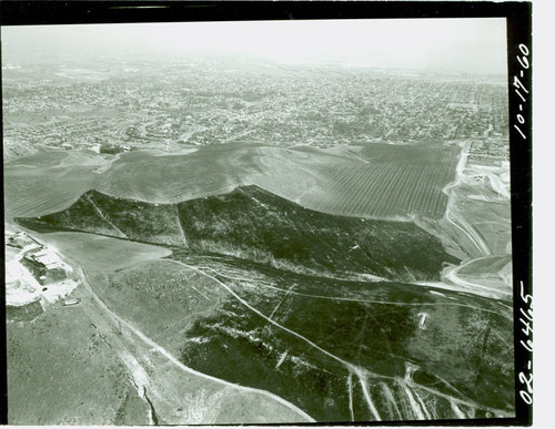 Aerial view of Deane Dana Friendship Park and Nature Center