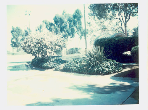 View of planter beds by the playground at City Terrace Park