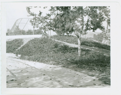 View of the baseball backstop at City Terrace Park