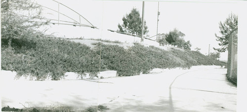 View of the baseball backstop at City Terrace Park