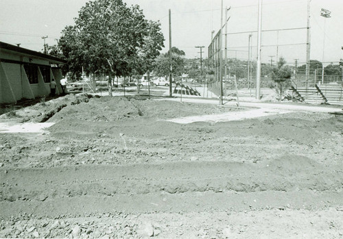 View of landscape installation at the new community center at Belvedere Park