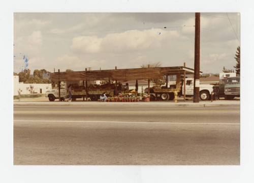 View of G&G Produce stand, Los Nietos, California