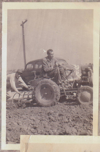 Eulogio Cabral plowing the land around his house, Whittier, California