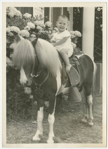 Reginald Holguin on traveling horse