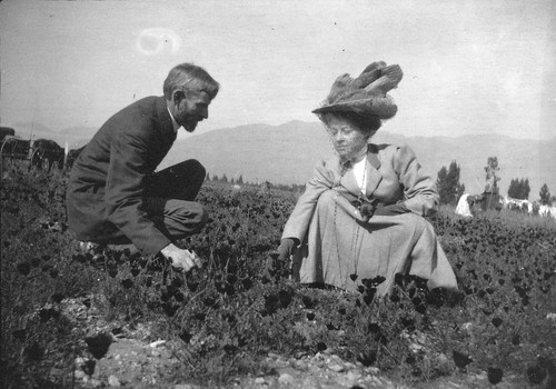 Mrs. Curtin and Mr. Brown in Poppy Fields