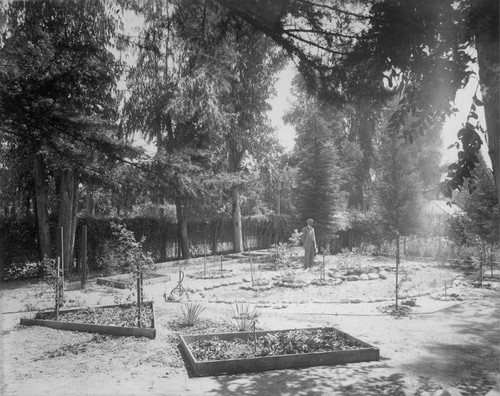 Dr. Adalbert Fenyes's Insectorium