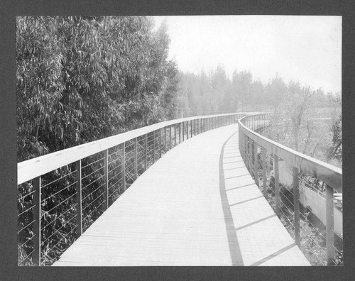 Pasadena Cycleway