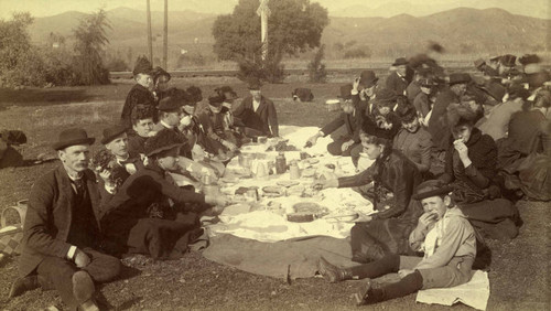 Picnic by the Railroad Track