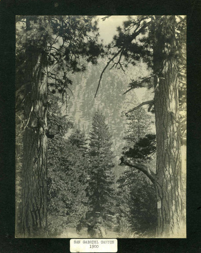 San Gabriel Canyon 1900