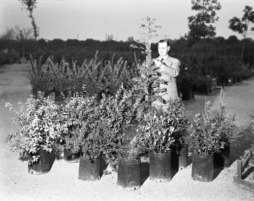 Mr. Rosedale and plants from his nursery