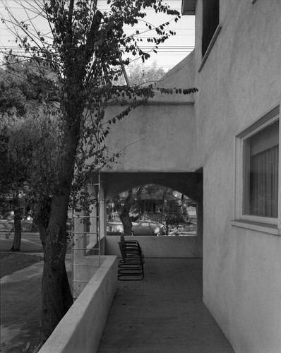 Balcony with intruding tree limb