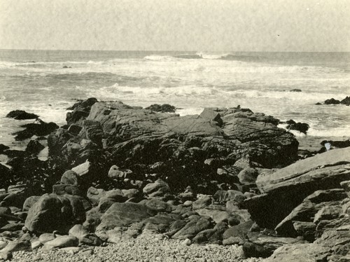 Monterey Coastline