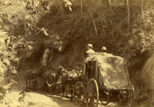 Stagecoach