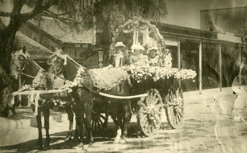 Martin Adobe - Floral Parade