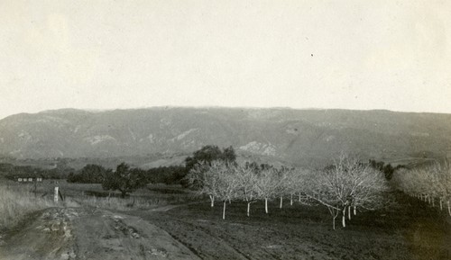 La Patera School