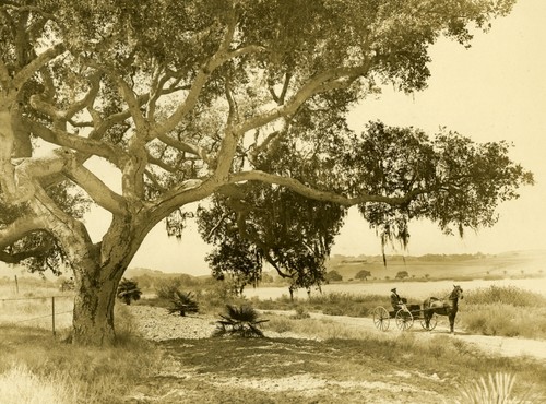 Hope Ranch Panoramic