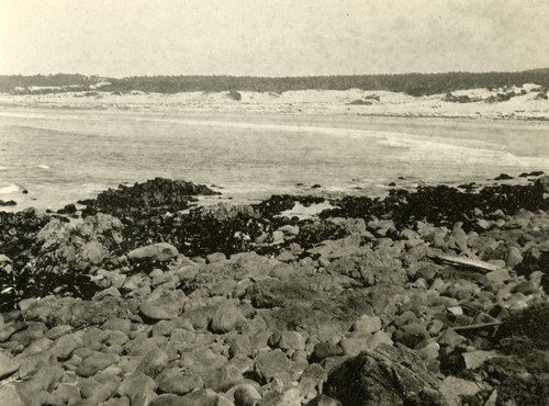 Monterey Coastline